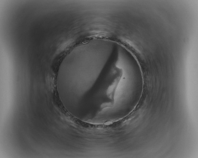 X0000115311399200911091127