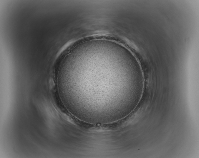 X0000115311400200911091127