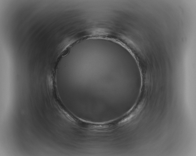 X0000115311401200911091127
