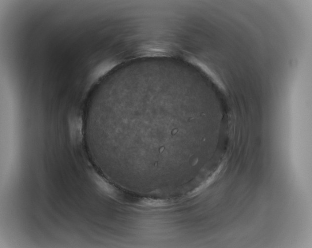 X0000115311402200911091127