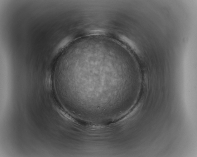 X0000115311403200911091127