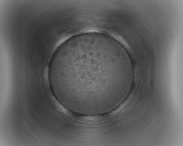 X0000115311404200911091127