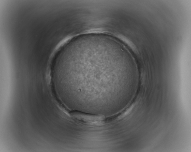 X0000115311406200911091127