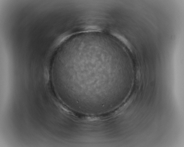 X0000115311407200911091127