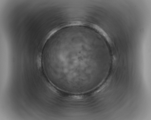 X0000115311409200911091127