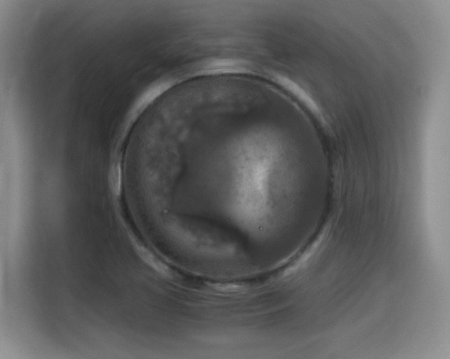 X0000115311413200911091127