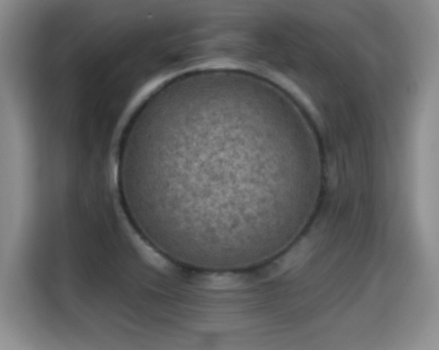X0000115311416200911091127