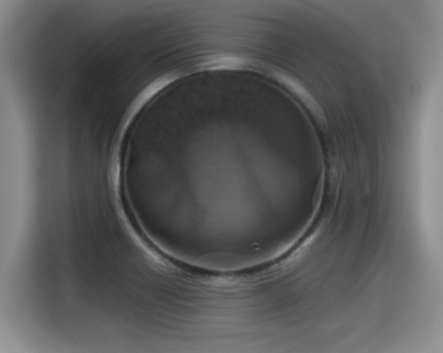 X0000115311418200911091128
