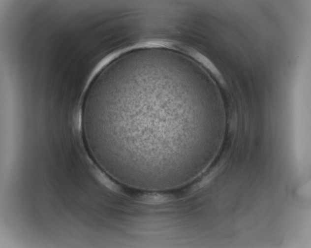 X0000115311420200911091128
