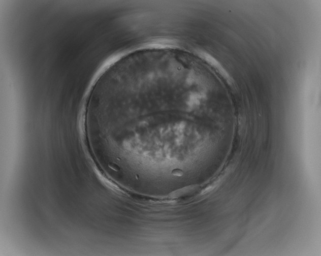 X0000115311421200911091128