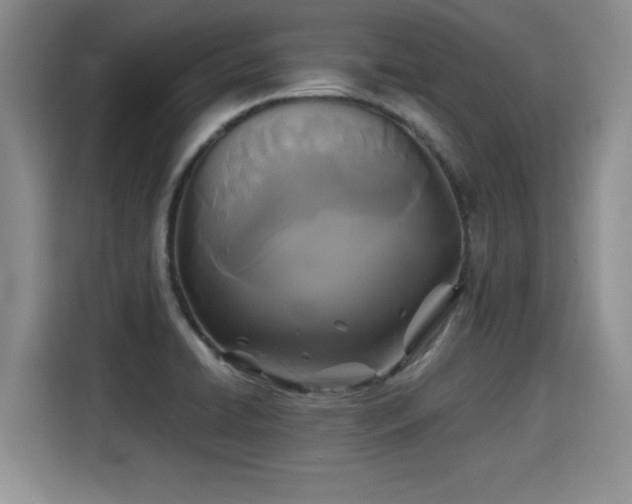 X0000115311422200911091128