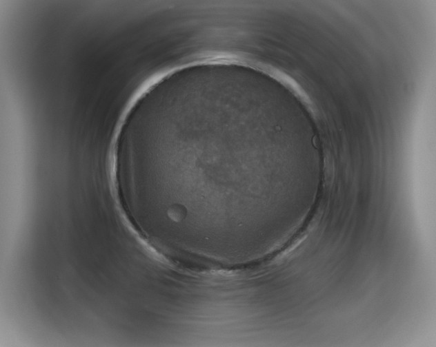 X0000115311424200911091128