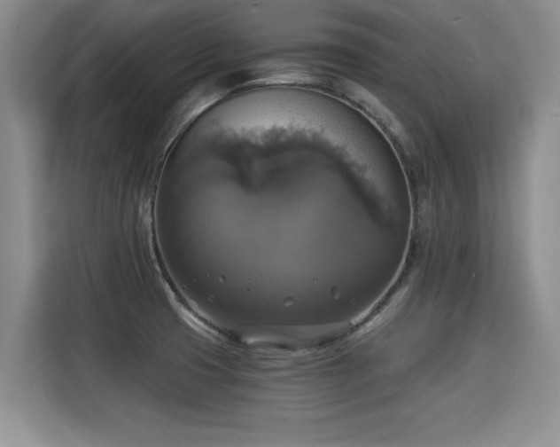 X0000115311425200911091128