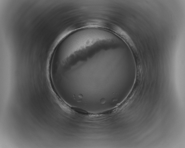 X0000115311427200911091128