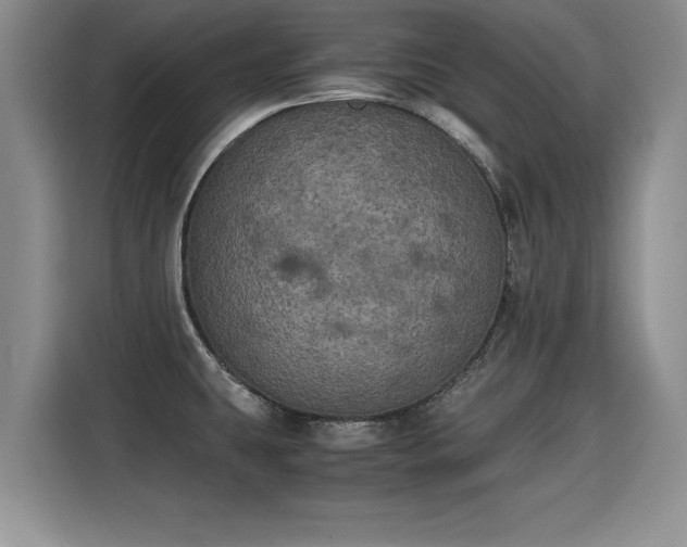 X0000115311431200911091128