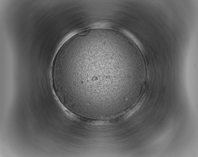 X0000115311434200911091128