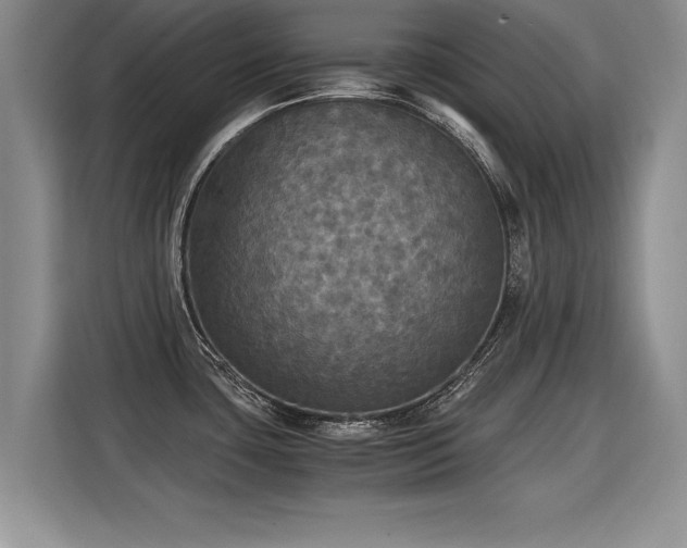 X0000115311435200911091128
