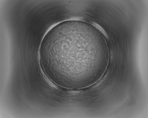 X0000115311436200911091128