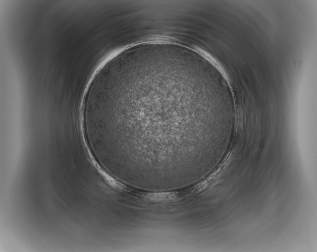 X0000115311437200911091128