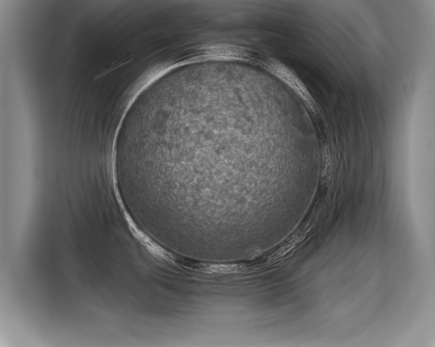 X0000115311439200911091128