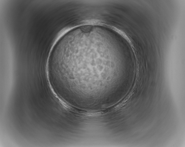 X0000115311440200911091128