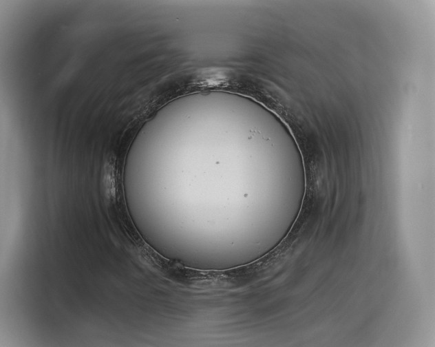 X0000115311442200911091127