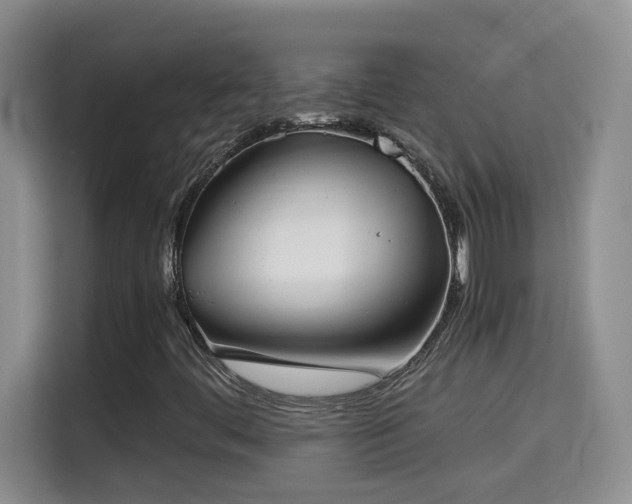X0000115311444200911091127