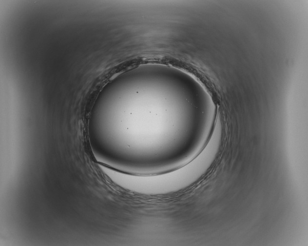 X0000115311445200911091127