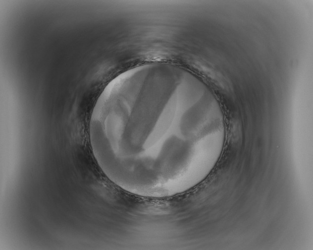 X0000115311446200911091127