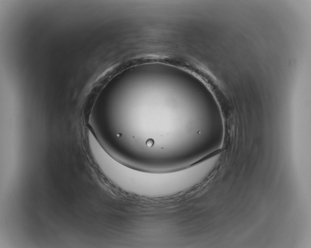 X0000115311448200911091127