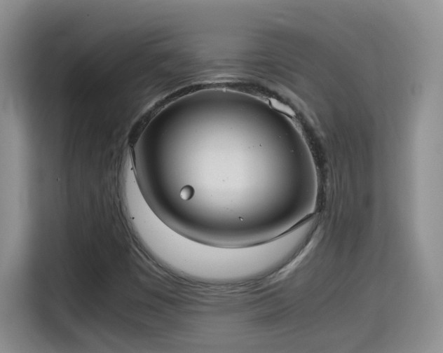 X0000115311449200911091127