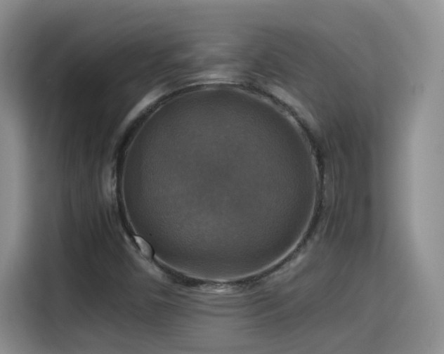 X0000115311450200911091127