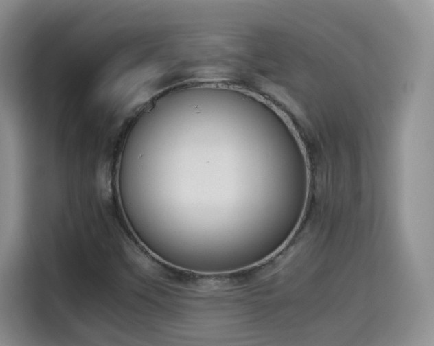 X0000115311451200911091127