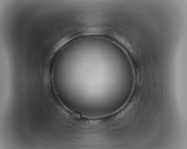 X0000115311453200911091127