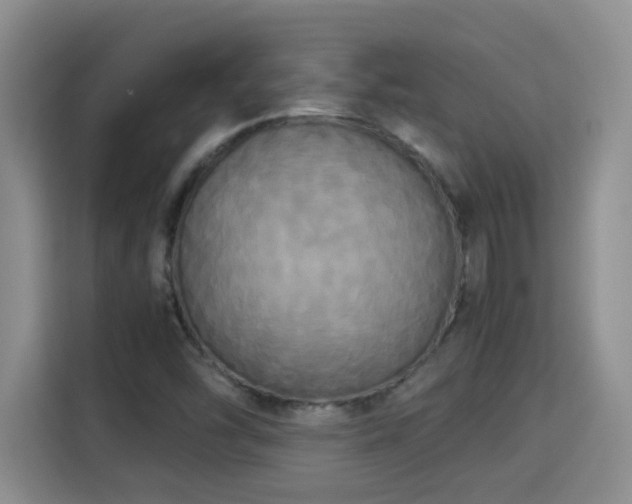 X0000115311454200911091127