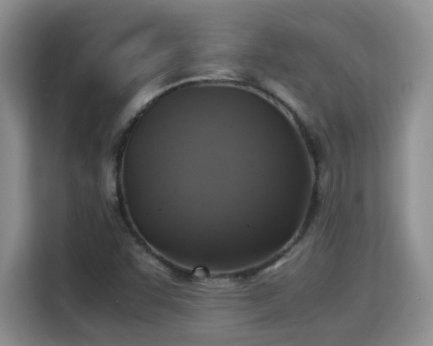 X0000115311455200911091127