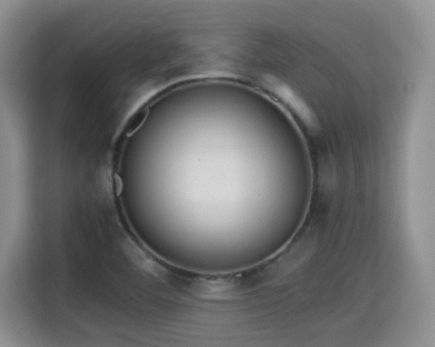 X0000115311460200911091127