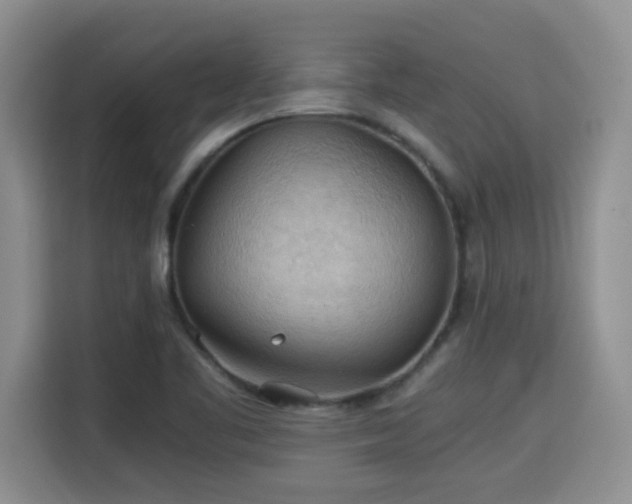 X0000115311461200911091127