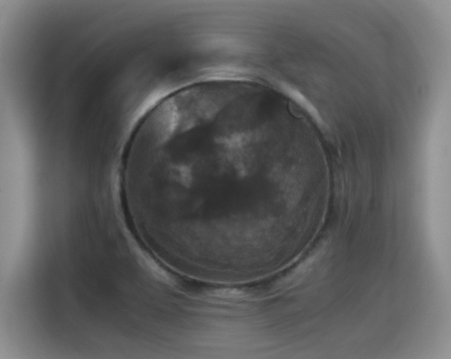 X0000115311463200911091127