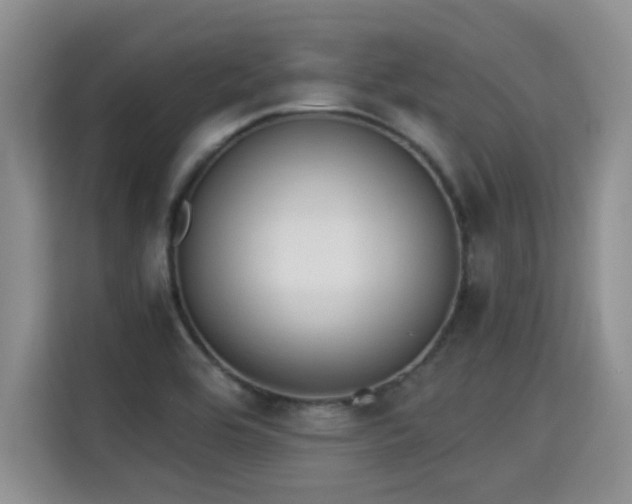 X0000115311464200911091127