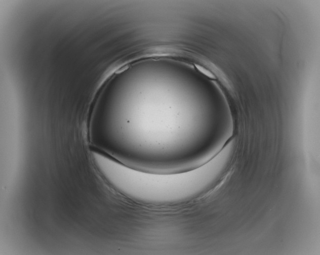 X0000115311465200911091127