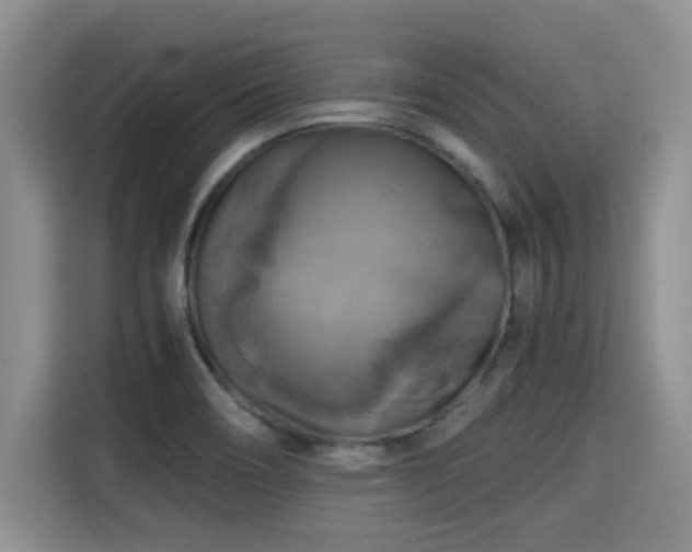 X0000115311466200911091127