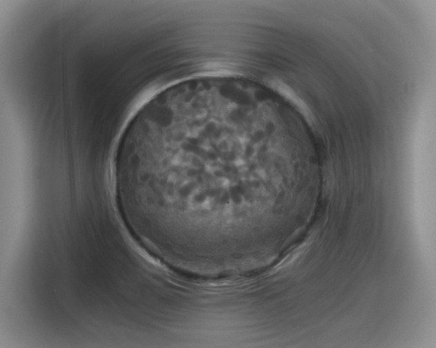 X0000115311467200911091127