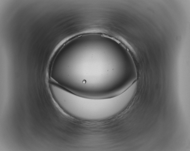 X0000115311468200911091127