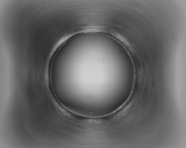 X0000115311469200911091127