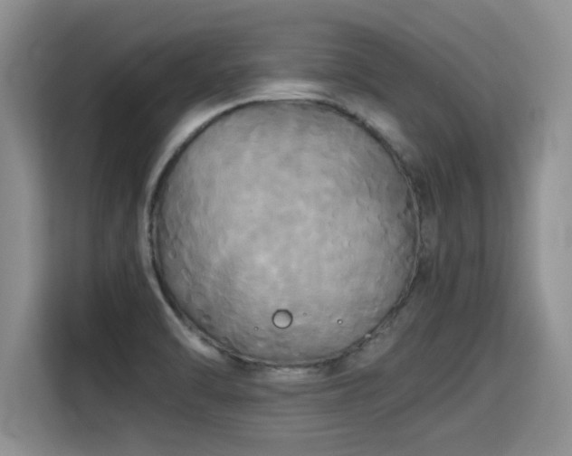 X0000115311470200911091127