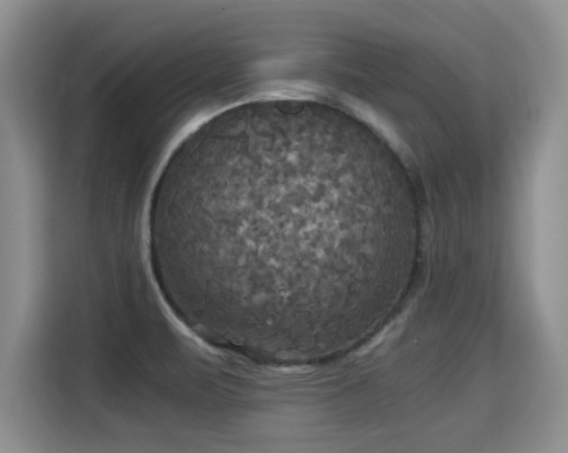X0000115311471200911091127
