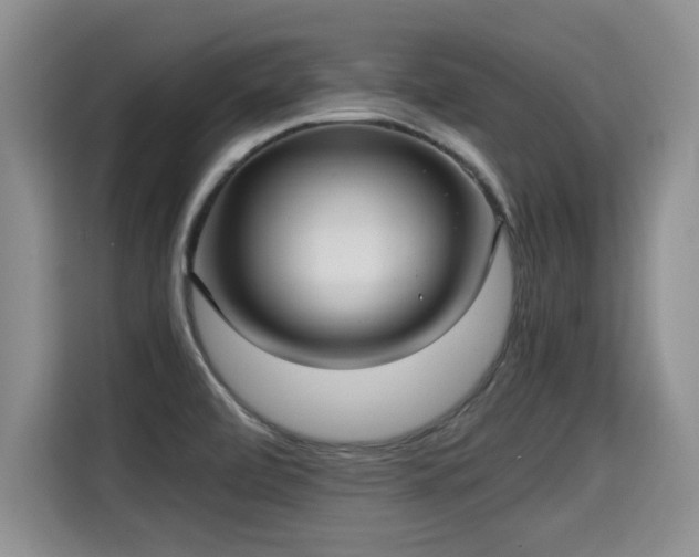 X0000115311472200911091127