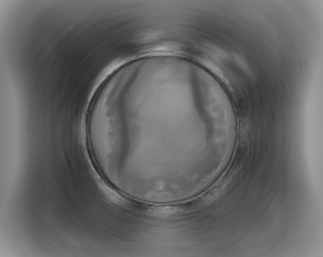 X0000115311474200911091127