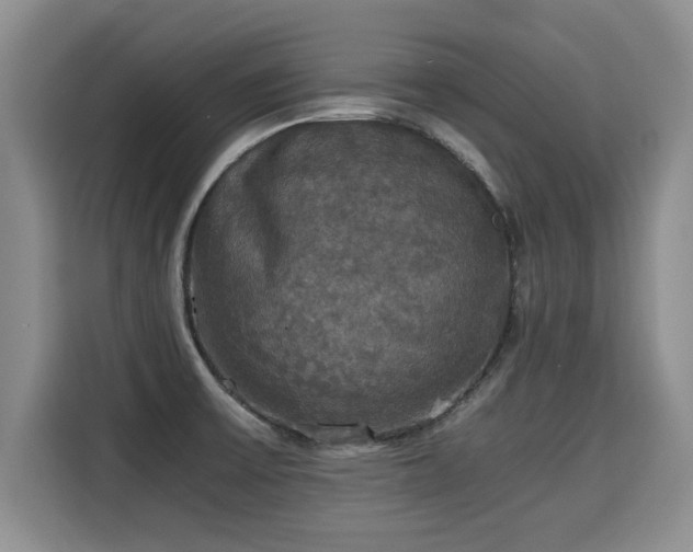 X0000115311475200911091127